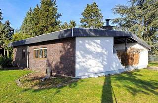 Haus mieten in Geranienweg, 76767 Hagenbach, Bungalow in der Natur - 4 Zimmer, Küche, Bad