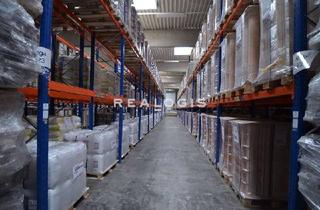 Gewerbeimmobilie mieten in 21435 Stelle, Stelle, ca. 3.000 m² große Rampenhalle, provisionsfrei