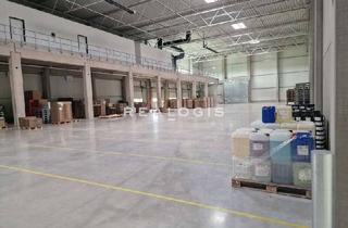 Gewerbeimmobilie mieten in 31737 Rinteln, Rinteln, ca. 10.000 m² Lagerfläche zu vermieten