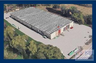 Gewerbeimmobilie mieten in 04571 Rötha, Viel Platz für Ihre Pläne: Gedämmte 900 m² Lagerhalle mit Top-Ausstattung zum Spitzenpreis sichern!