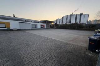 Büro zu mieten in Carl-Benz-Straße, 63526 Erlensee, 3 in 1 Büro, Lagerhalle und Freifläche zu Vermieten!!