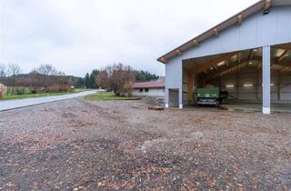Gewerbeimmobilie mieten in 86869 Oberostendorf, Moderne, hochwertige Gewerbehalle mit Fußbodenheizung geteilt in 3 Hallen