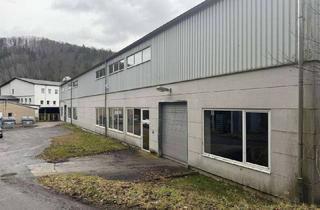 Gewerbeimmobilie kaufen in 09518 Großrückerswalde, Lagerhalle / Produktion 3200qm mit Büro, Dusche, WC zu verkaufen