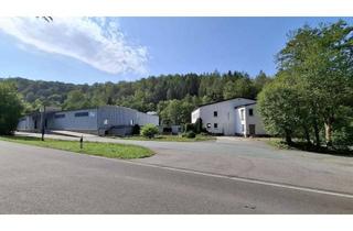 Gewerbeimmobilie kaufen in 09518 Großrückerswalde, Lagerhalle / Produktion 3200qm mit Büro, Dusche, WC zu verkaufen