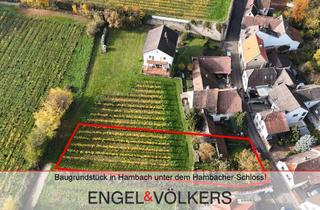 Grundstück zu kaufen in 67434 Hambach, Baugrundstück in Hambacher Weinbergsrandlage unter Hambacher-Schloss!