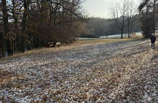 Grundstück zu kaufen in 95512 Neudrossenfeld, Weitläufiges Grundstück mit Perspektive – ca 4.500 m² in Neudrossenfeld-Unterobsang