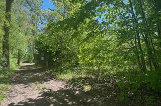 Grundstück zu kaufen in Kleiner Schmidtstich, 16792 Zehdenick, Gartengrundstück mit Seeblick
