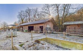 Immobilie kaufen in 65343 Eltville, Pferdestall mit Koppel in Eltville – Ruhige Lage mit Potenzial zur Erweiterung