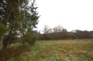 Immobilie kaufen in 69412 Eberbach, Schönes Hanggrundstück in Eberbach OT