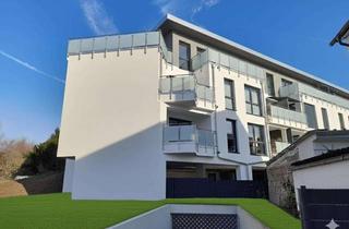 Wohnung kaufen in 63505 Langenselbold, Neubau - moderne und ruhige 3 Zi.-Whg. mit Aufzug und TG-Platz