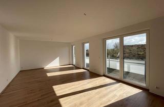 Penthouse mieten in Großer Winkel 15, 38442 Sülfeld, Oben ist es am schönsten – Diese Wohnung hat mehr Vitamin D als dein Arzt erlaubt!