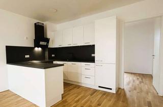 Wohnung mieten in Speierlingstraße 41, 65191 Bierstadt, Neubau-Erstbezug in der BELETAGE inkl. Einbauküche sofort verfügbar