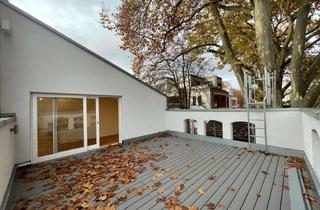 Wohnung mieten in Kurhausstrasse 13, 55543 Bad Kreuznach, Außergewöhnliche Wohnung mit großer Dachterrasse und Einbauküche in Kurparknähe!