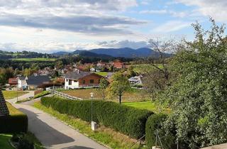 Wohnung mieten in Krebsbachweg, 94258 Frauenau, Schöne 2-Zimmer Wohnungen mit Terrasse oder Balkon je mit Küchenzeile u. 2 Duschbädern zu vermieten