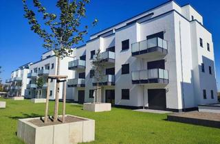 Wohnung mieten in Gladiolenweg 45a, 53859 Niederkassel, Moderne 2-Zimmer-Wohnung mit Dachterrasse und EBK in Niederkassel