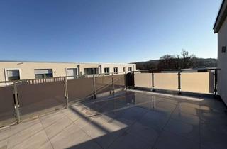 Penthouse mieten in Elisabethgarten 27, 31135 Hildesheim, Exklusive Penthousewohnung in Hildesheim – Ostend, Elisabethgarten (KfW 55)