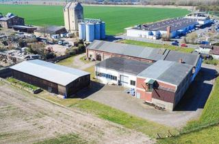Gewerbeimmobilie kaufen in 31241 Ilsede, HALLENKOMPLEX MIT FREIFLÄCHEN UND WIESE