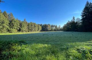 Grundstück zu kaufen in 83417 Kirchanschöring, Waldgrundstück mit Grünland bei Kirchanschöring