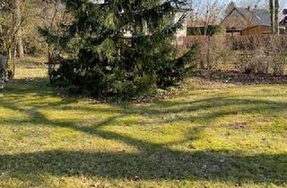 Grundstück zu kaufen in 16552 Schildow, Grundstück im grünen Schildow