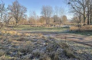 Grundstück zu kaufen in 17091 Knorrendorf, Großes ruhiges Randgrundstück !!!