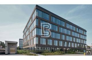 Büro zu mieten in 79312 Emmendingen, Neu. Sichtbar. Flexibel. Zentral. 1000 m² Bürofläche (teilbar) nahe HBF