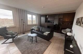 Immobilie mieten in 63065 Offenbach, ***möbliertes Penthouse mit Blick auf den Main***Bezugsfrei!