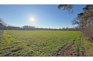 Gewerbeimmobilie kaufen in 46499 Hamminkeln, Landwirtschaftliche Nutzflächen (ca. 3,3 ha) in der Gemarkung Brünen – Acker- und Grünland