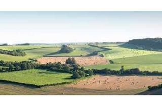 Gewerbeimmobilie kaufen in 29451 Dannenberg, Ackerflächen bei Groß Heide zu verkaufen, 7,5589 ha