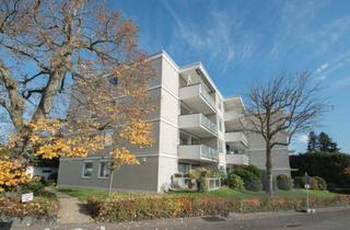 Wohnung kaufen in 65812 Bad Soden, Solide Rendite in ruhiger Lage von Bad Soden mit Weitblick - provisionsfrei