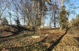 Grundstück zu kaufen in 14612 Falkensee, Wohnen im Einklang mit der Natur – Großzügiges Baugrundstück im Wald