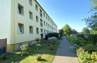 Wohnung mieten in Ginger Chaussee 15, 18573 Dreschvitz, Familienfreundliche 4-Raum-Wohnung in Dreschvitz zu vermieten