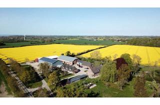 Wohnung mieten in 24395 Gelting, Wohnen auf Gut Mariannenhof in Ostseenähe!