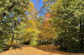 Wohnung mieten in Orleanstrasse 13, 12167 Steglitz (Steglitz), Sonnige, moeblierte 2-Zimmer-Wohnung mit 2 Dachterassen in Steglitz