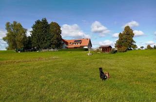 Doppelhaushälfte kaufen in 79877 Friedenweiler, Einmalige Doppelhaushälfte inmitten des Naturschutzes