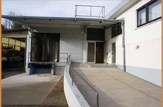 Gewerbeimmobilie mieten in 77736 Zell, Großzügige Halle mit Rampe und Sozialräumen ab sofort in Zell a. H. zu vermieten!