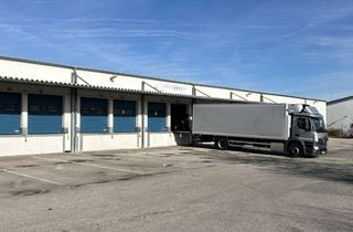 Gewerbeimmobilie kaufen in 93055 Burgweinting-Harting, Flexibel nutzbare Hallenflächen – im gefragten Gewerbegebiet Burgweinting‑Ost