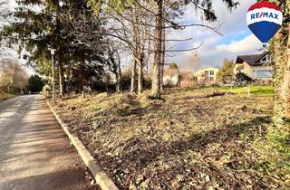 Grundstück zu kaufen in 78247 Hilzingen, Großzügiges Wohnbaugrundstück mit Gewerbeteilfläche