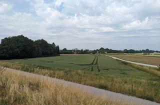 Grundstück zu kaufen in 94315 Hornstorf, Landwirtschaftsfläche/Ausgleichsfläche in Straubing!