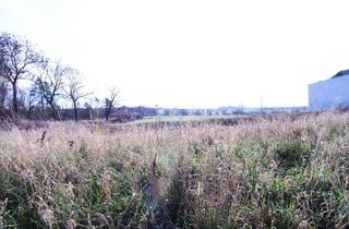 Immobilie kaufen in Juliushöhe, 38446 Wolfsburg, Ausgleichfläche/Grundstück für eine Nutzungsänderung oder als Weidefläche/Wiese uvm.