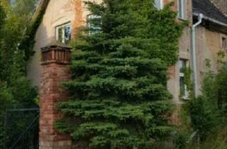 Einfamilienhaus kaufen in 06193 Wettin-Löbejün, Wettin-Löbejün - Einfamilienhaus nähe Halle