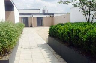 Penthouse mieten in Richard Wagner Straße 14B, 04109 Zentrum, Mehr City geht nicht – mehr Ruhe auch nicht. Außergewöhnliche Penthousewohnung mit Patio