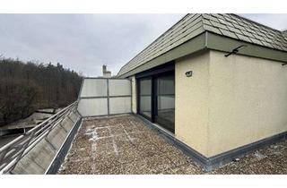 Penthouse mieten in 70195 Botnang, Exklusives Penthouse mit 2,5 Zimmern und Balkon in Stuttgart-Botnang