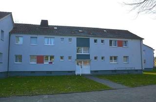 Wohnung mieten in Breslauer Allee 44, 31787 Hameln, Wohnung im Klütviertel (Wohnberechtigungsschein erforderlich)