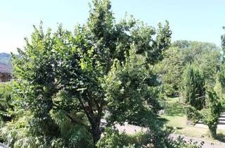 Wohnung mieten in 79282 Ballrechten-Dottingen, **Ballrechten-Dottingen**Tolle 4 Zi. Whg. mit EBK, 2x Balkon, Stellplatz*ab 01.04.2026 bezugsfrei*