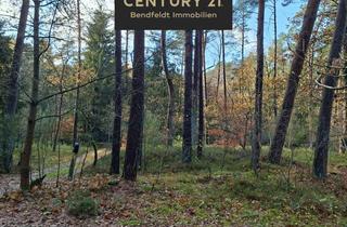 Haus kaufen in 21435 Stelle, Wohnen Mitten im Wald - Abschalten Pur