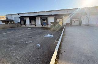 Büro zu mieten in Nordstrasse, 99427 Industriegebiet Nord, Lagerhalle & neue Büros in Weimar 1600qm inkl. Hochregalen, Rampen, Alarm, digitale Türschlösser