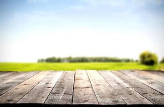 Grundstück zu kaufen in 85376 Giggenhausen, Baugrundstück in gewachsener Wohnlage von Neufahrn bei Freising mit sofortiger Bebauungsmöglichkeit