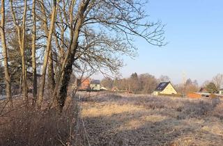 Grundstück zu kaufen in Buchenallee, 16359 Biesenthal, Bauträgerfreies Baugrundstück in der Naturparkstadt Biesenthal zu verkaufen