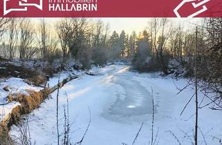 Grundstück zu kaufen in 94060 Pocking, Freizeitgrundstück mit Fischweiher in Pocking/ Ortsteil Pfaffing
