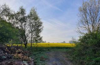 Grundstück zu kaufen in 48329 Havixbeck, 12.000m2 mit 4000m2 Baugrundstück für 6 WE nahe Naturg. Baumberge Provisionsfrei